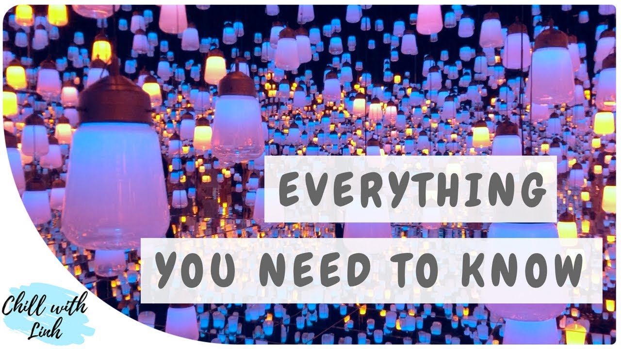 Complete Guide to teamLab Borderless in Odaiba Tokyo | チームラボ ボーダレス お台場
