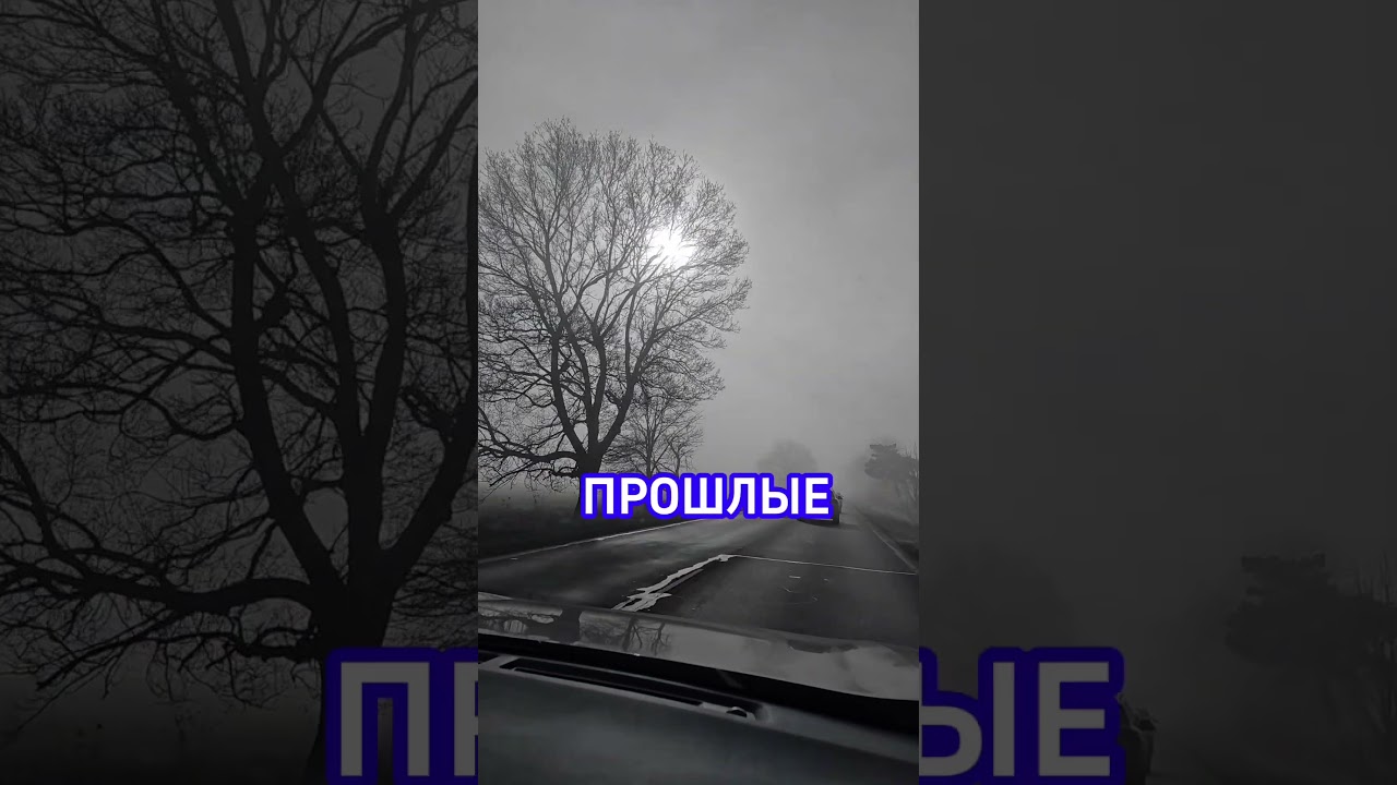 Оставлять позади #motivation #personaldevelopment #lifelessonswithluis #психология #самоценность