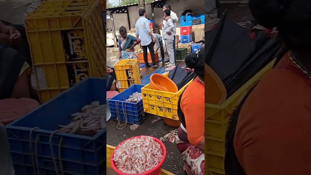 Wholesale fish market #youtuvideo #evergreendaisey 🌿💚