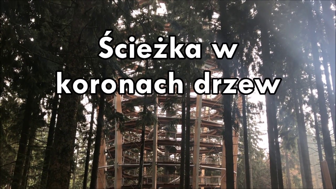 Ścieżka w koronach drzew Czechy Karkonosze Jańkie Łaźnie