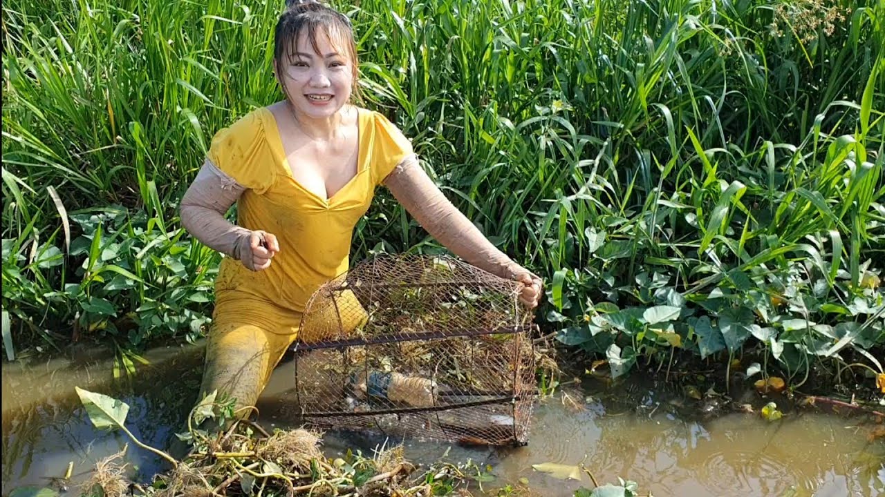 Giăng Lưới Thăm Lờ Cá Sặc Bội Thu