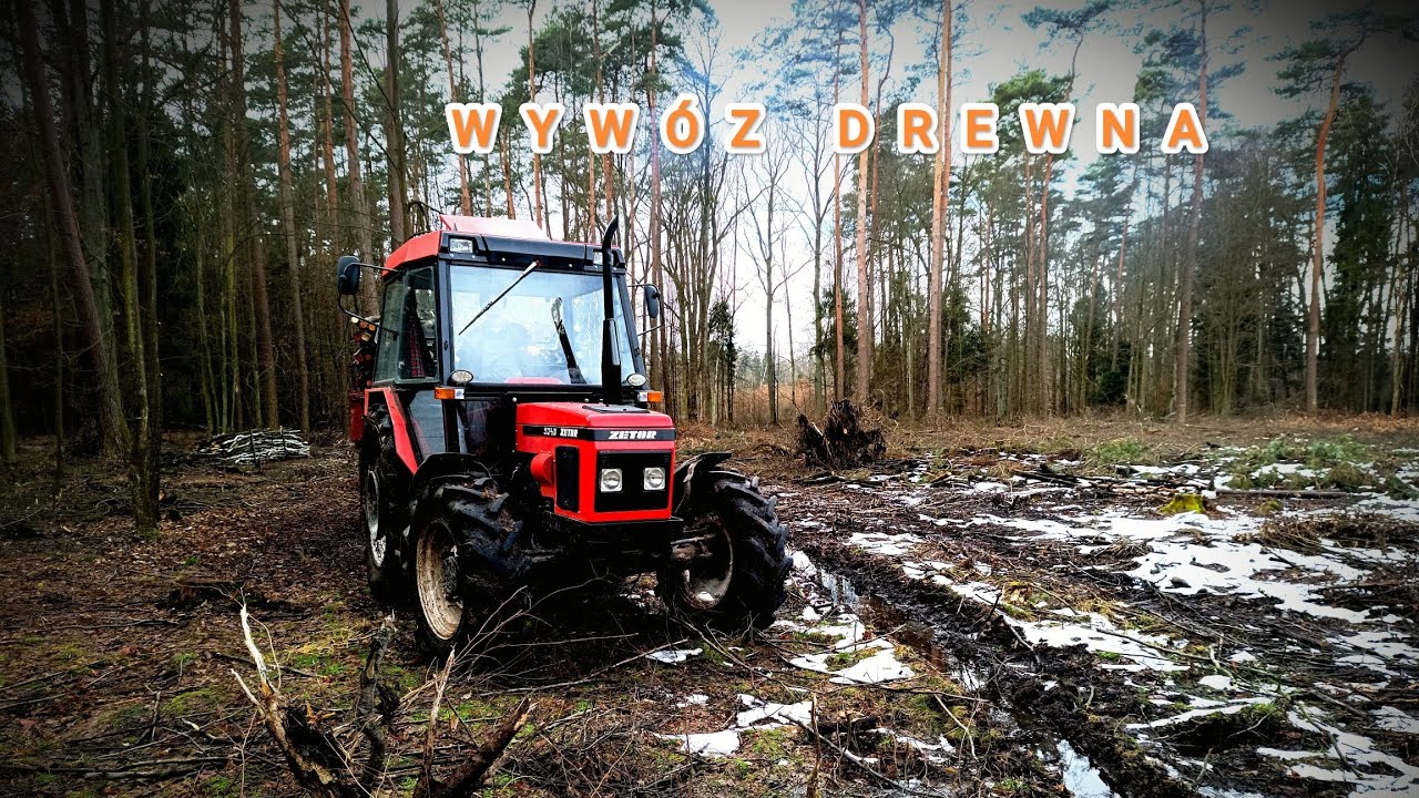 🔥🚨Oporowy wywóz drewna🚨🔥// Zetor zakopany!?!?