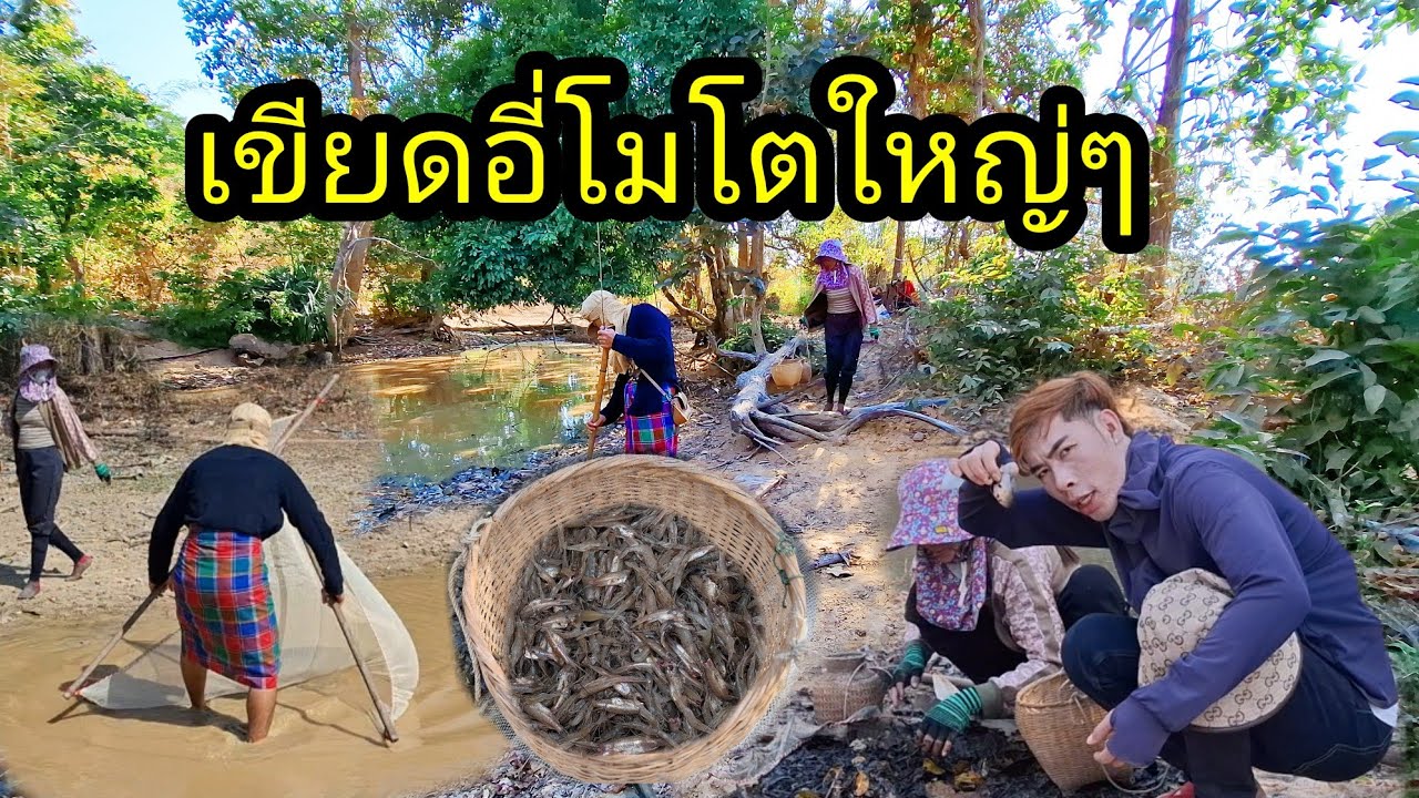 เEp: 1276 ลาะหาขุดเขียดอี่โม้&ซ้อนกุ้ง กะพอได้กินอยู่จ้า