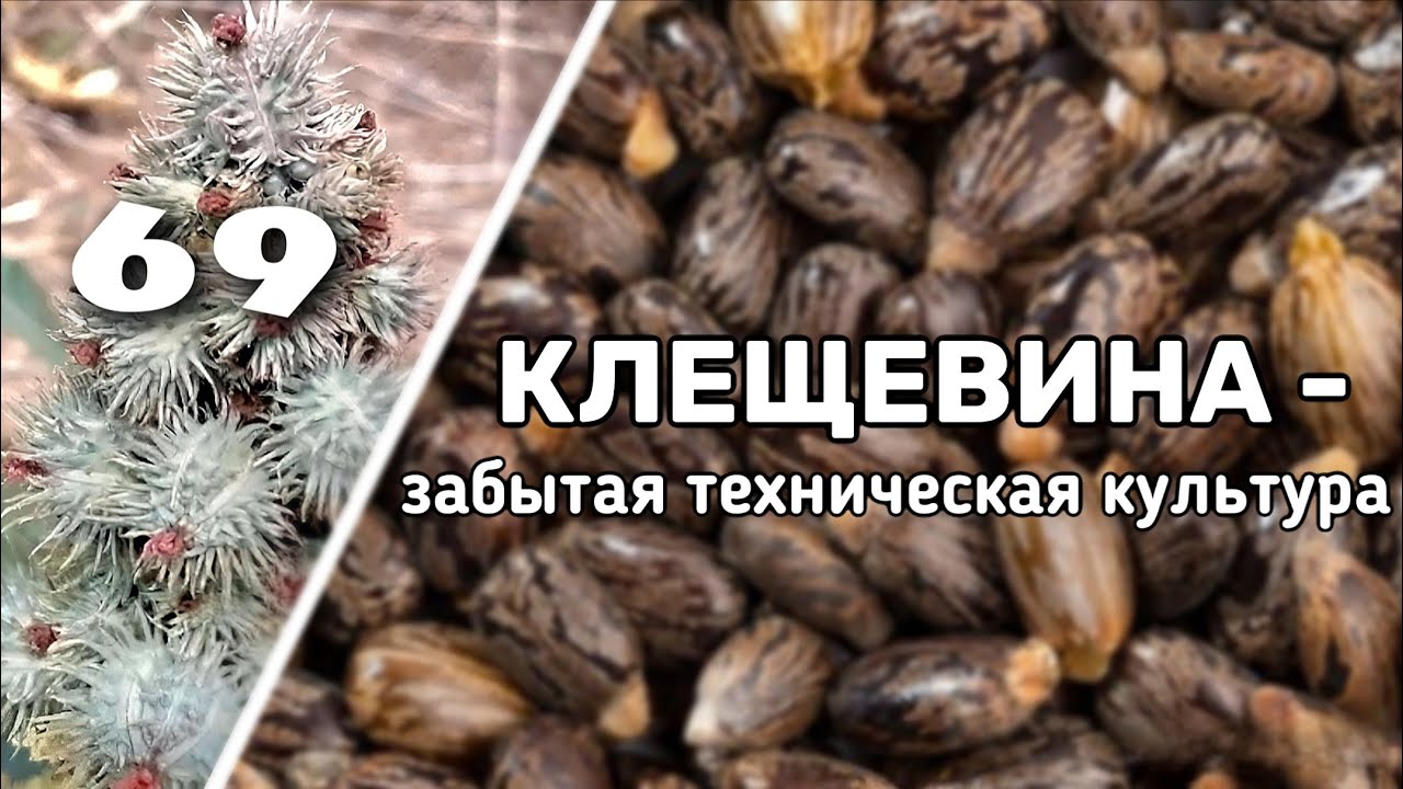 АГРОКУЛЬТУРА которая будет востребована к 2030 году!!!