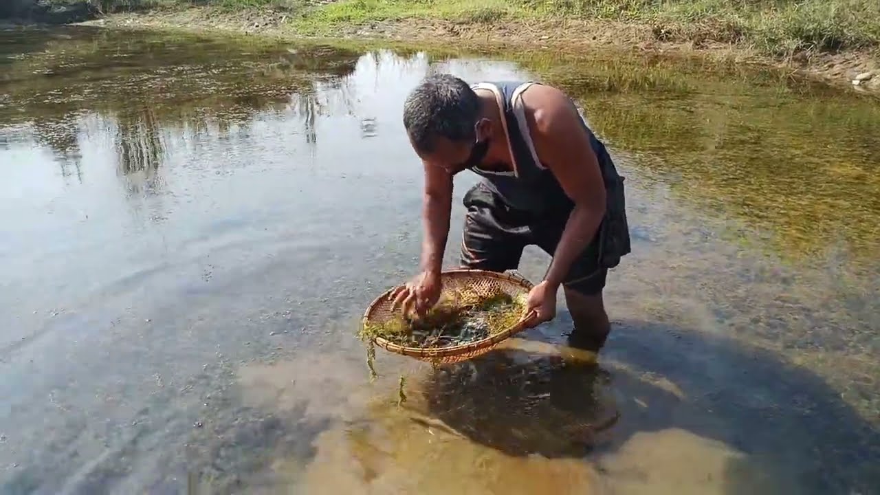 Village Man's Amazing Fishing life #fishing #pondfishing #fish 