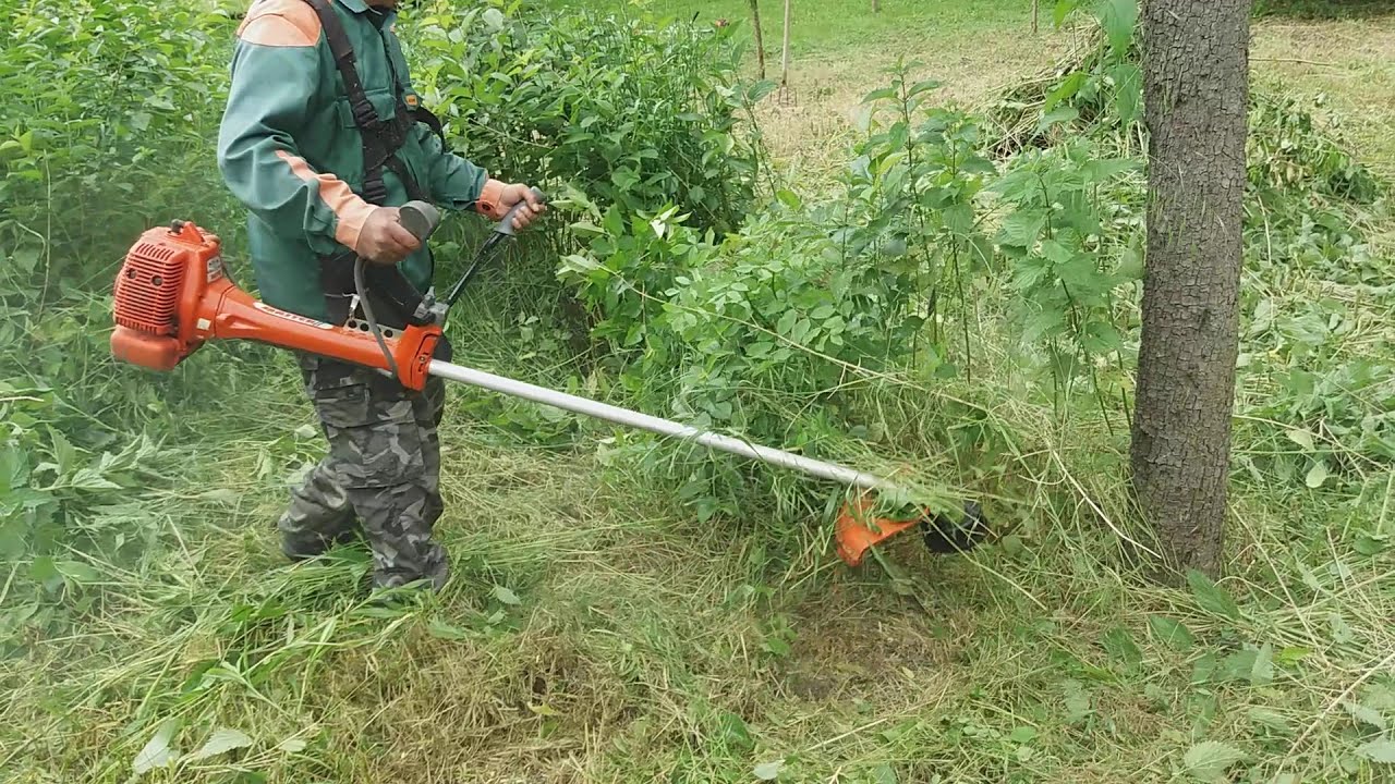 Oleo Mac 755 master a bozótosban!💪👌