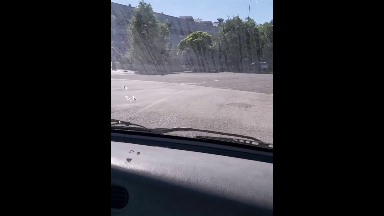 Ecomile, l'autocarro elettrico con il cambio