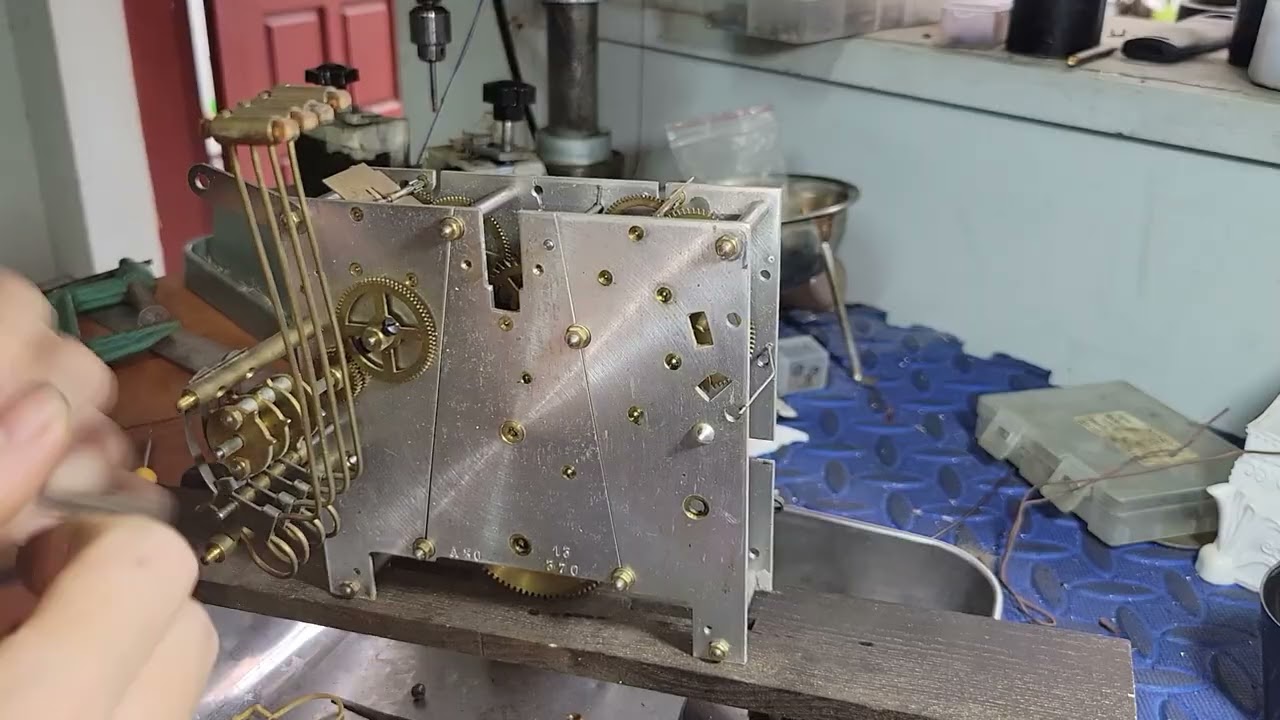 Khám od0 bạch kim đổi chim cu