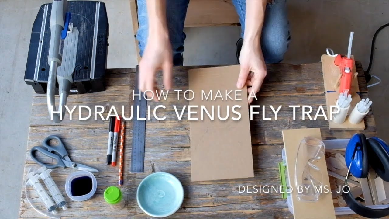 How to Make a Hydraulic Venus Fly Trap with cardboard, toothpicks, and syringe