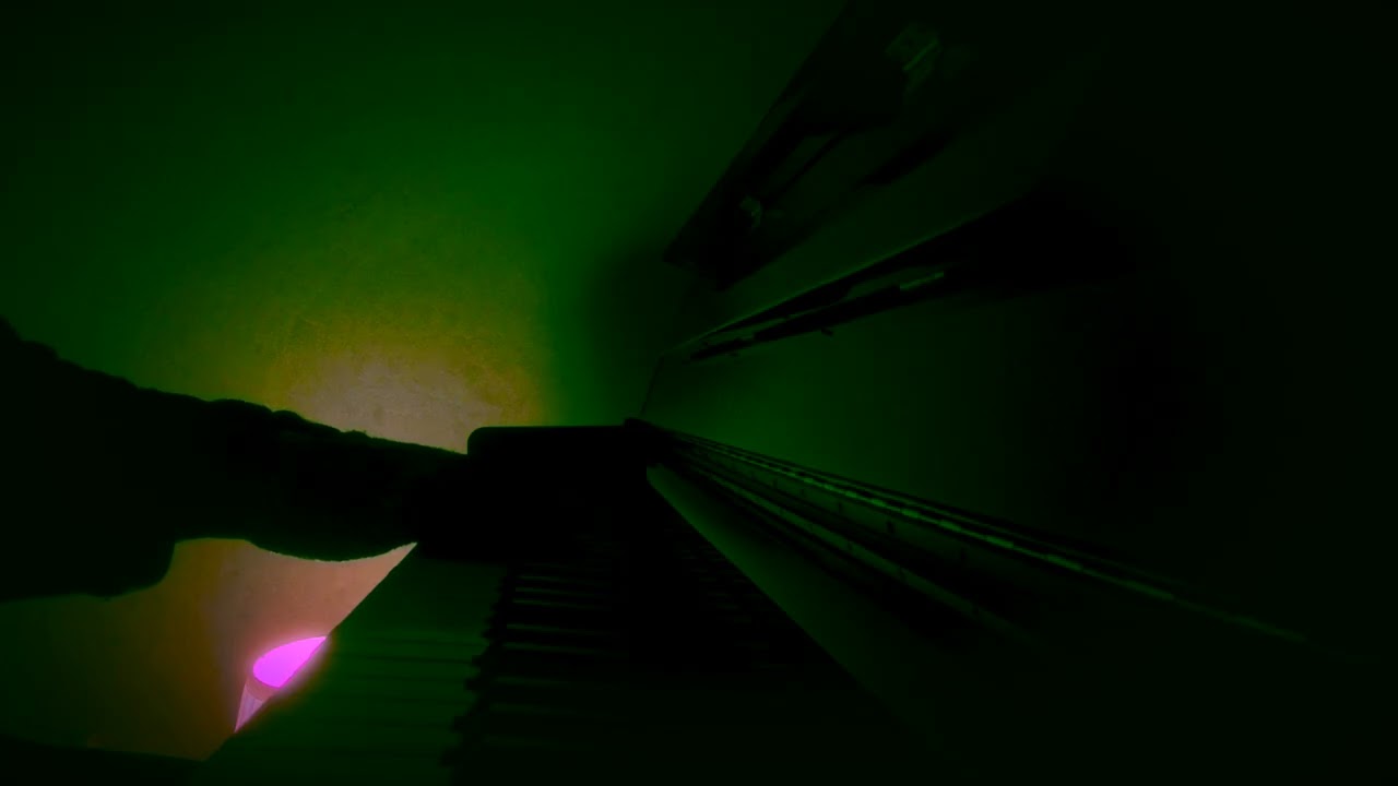 The Museum No One Knows (Full Album)