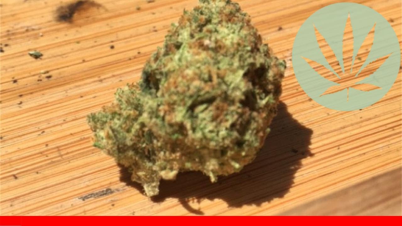 Willie Nelson - All About This Strain