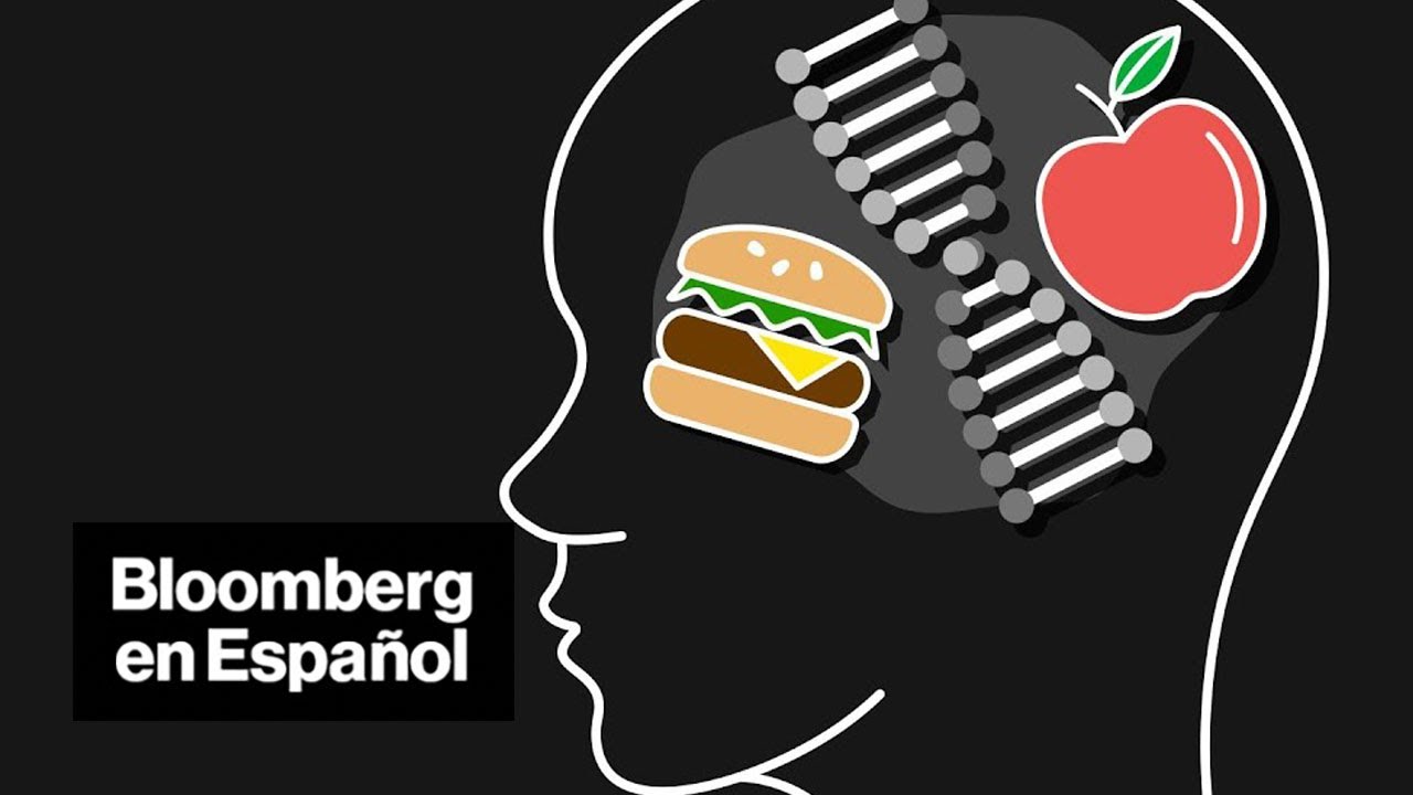 La dieta que llevamos puede reprogramar nuestro ADN | Bloomberg en Español