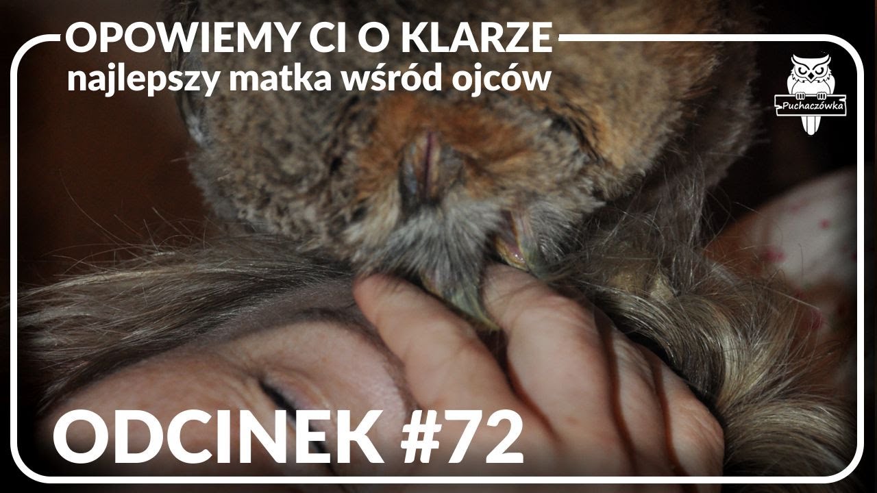 Odcinek #72 - Najlepszy matka wśród ojców. Opowiemy Ci o Klarze 🦉