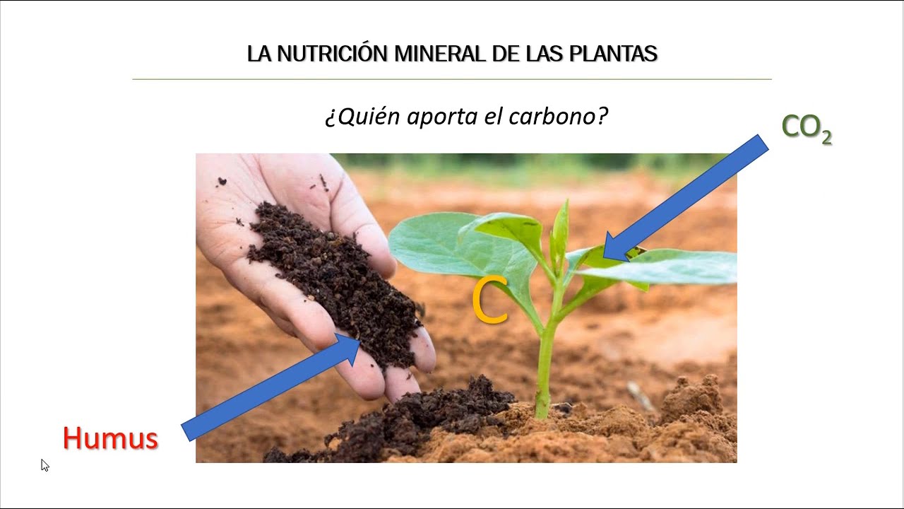 Cap101 Historia del conocimiento sobre la nutricion vegetal