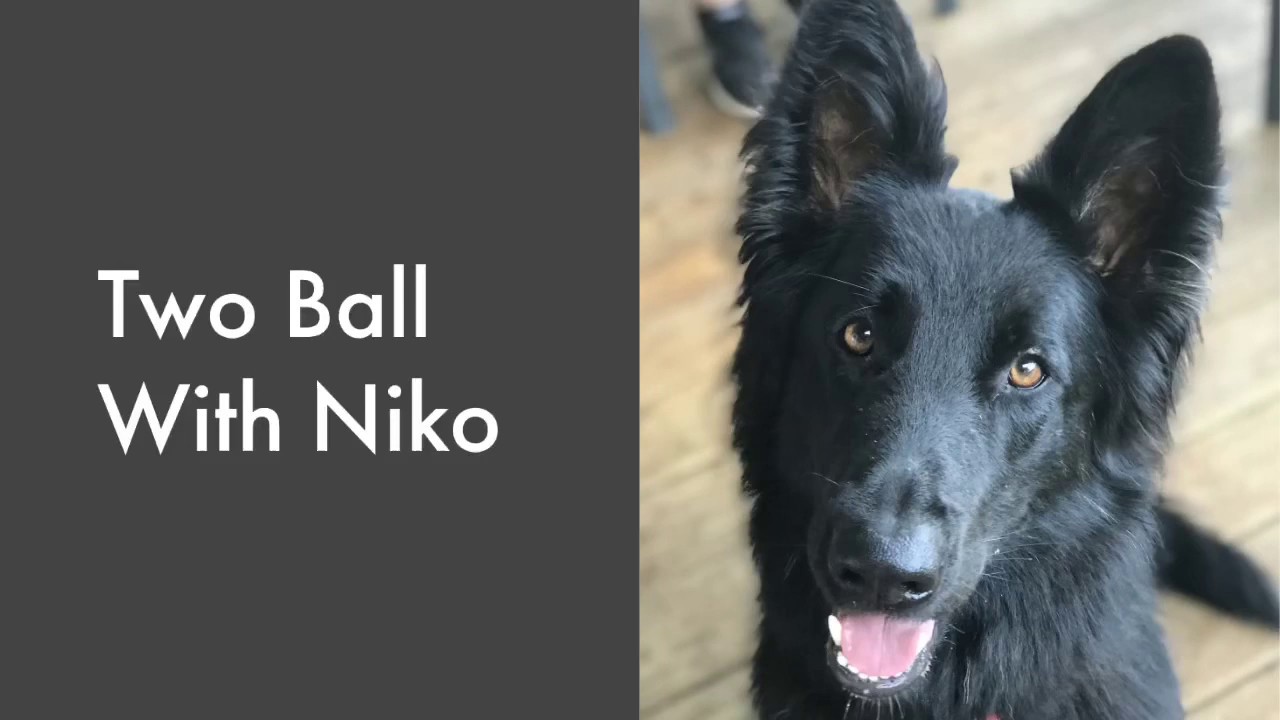 Teaching Fetch with Two-Ball