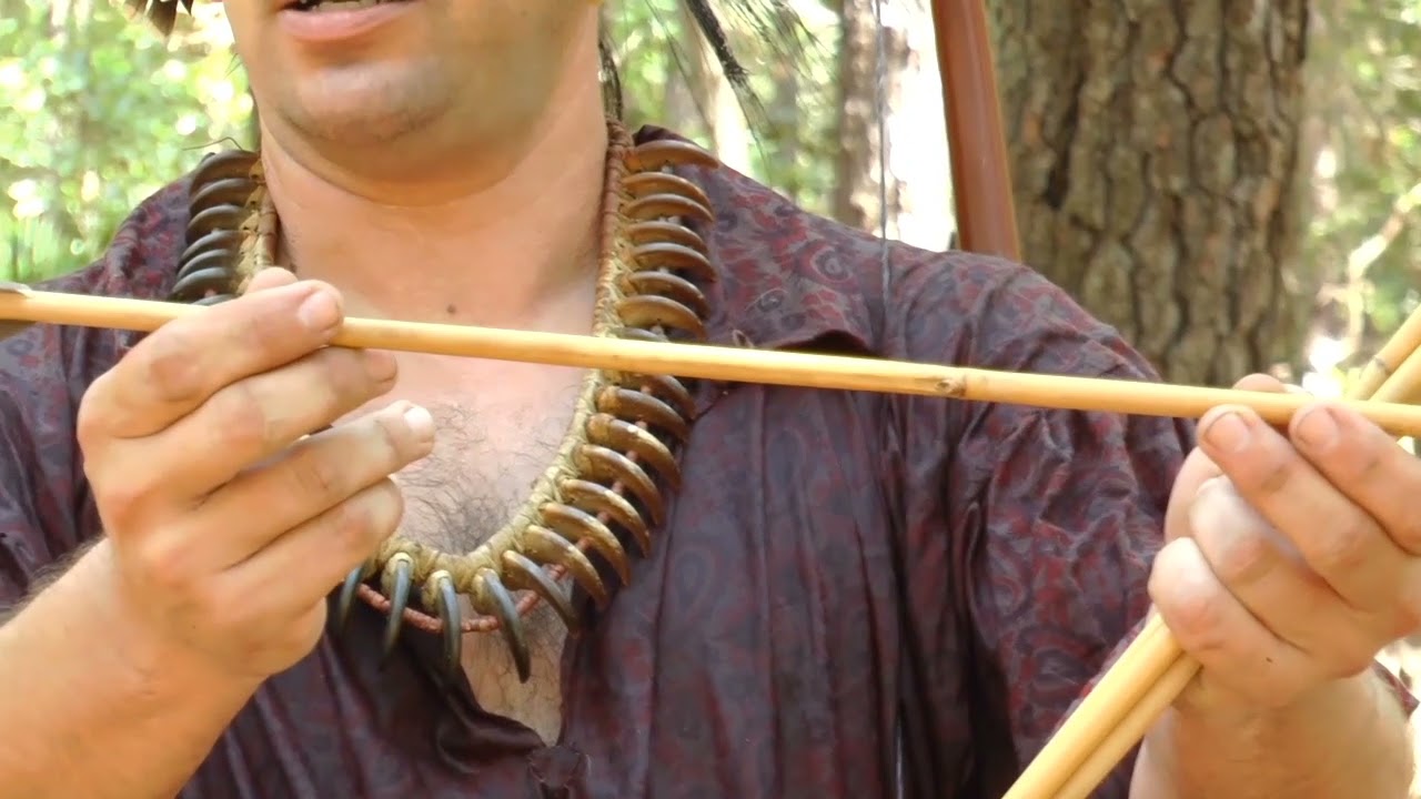 Woodland Hunting Technology
