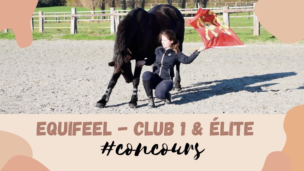 #CONCOURS - Retour (virtuel) en Equifeel !