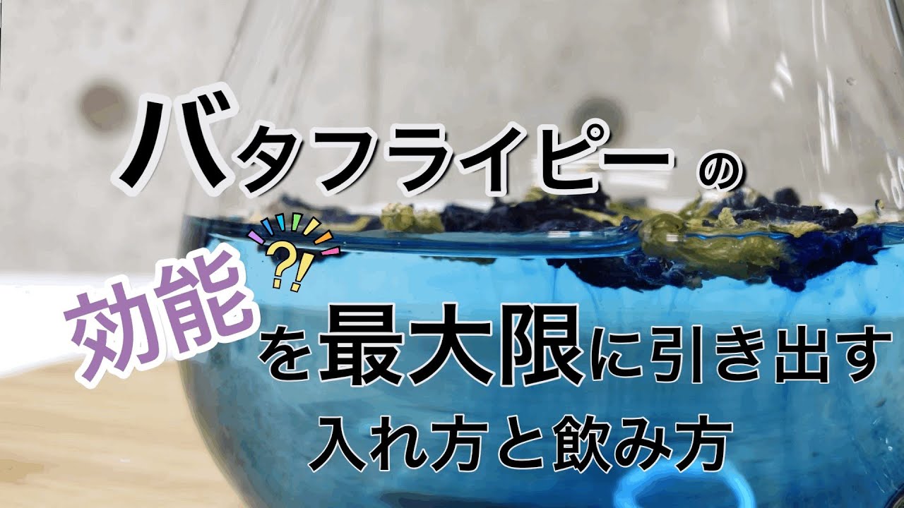 【青いお茶】美しいハーブティー/バタフライピーの美味しい入れ方/ブルーベリースムージにアジサイゼリーをのせてレシピ付き