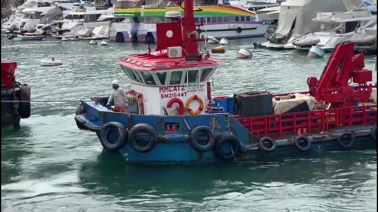 RELAXING SHIPSPOTTING 2025 / JUNE 22