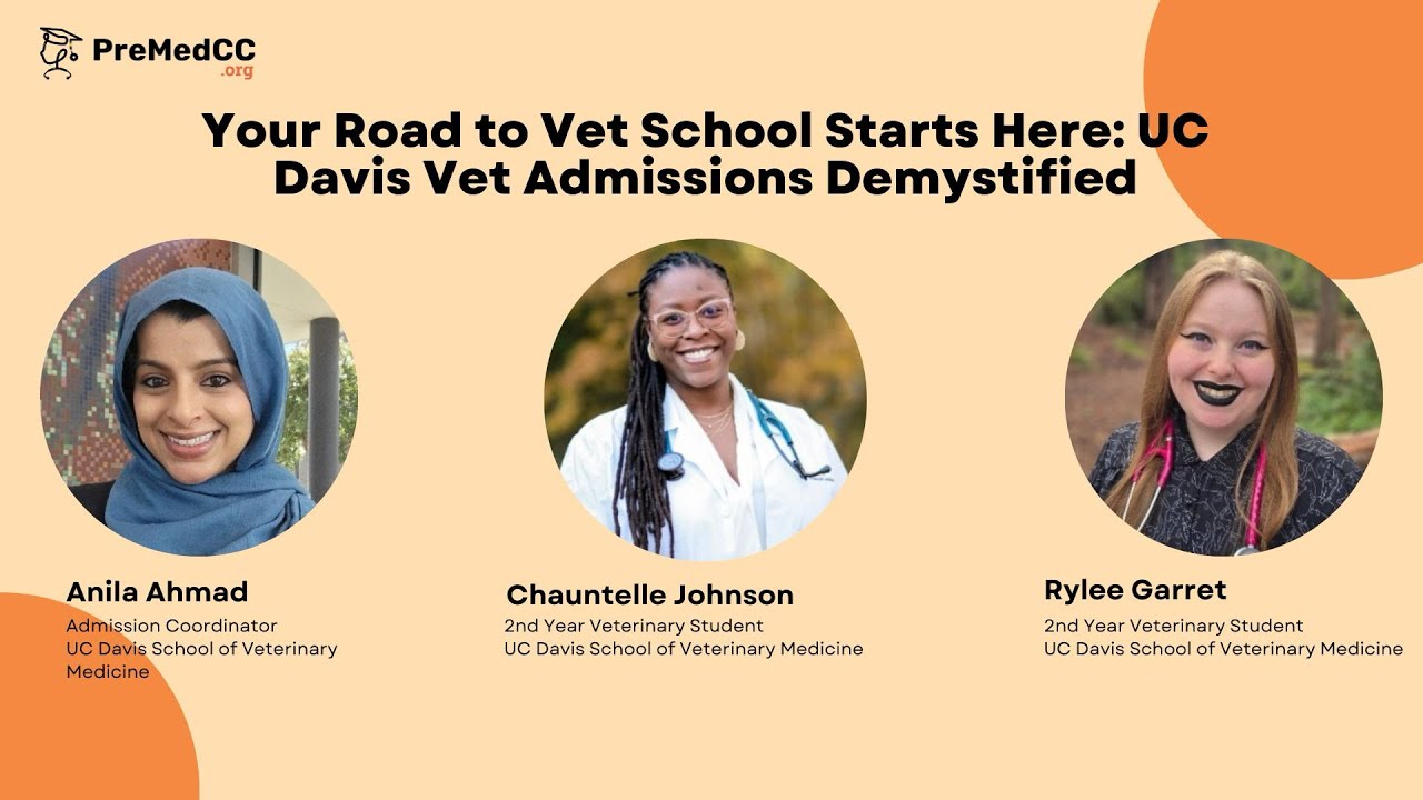 Your Road to Vet School Starts Here: UC Davis Vet Admissions Demystified