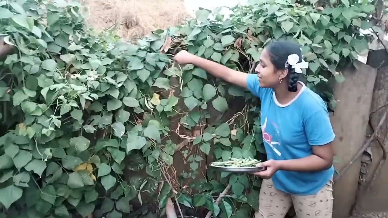 Ma perati chikkudu padu