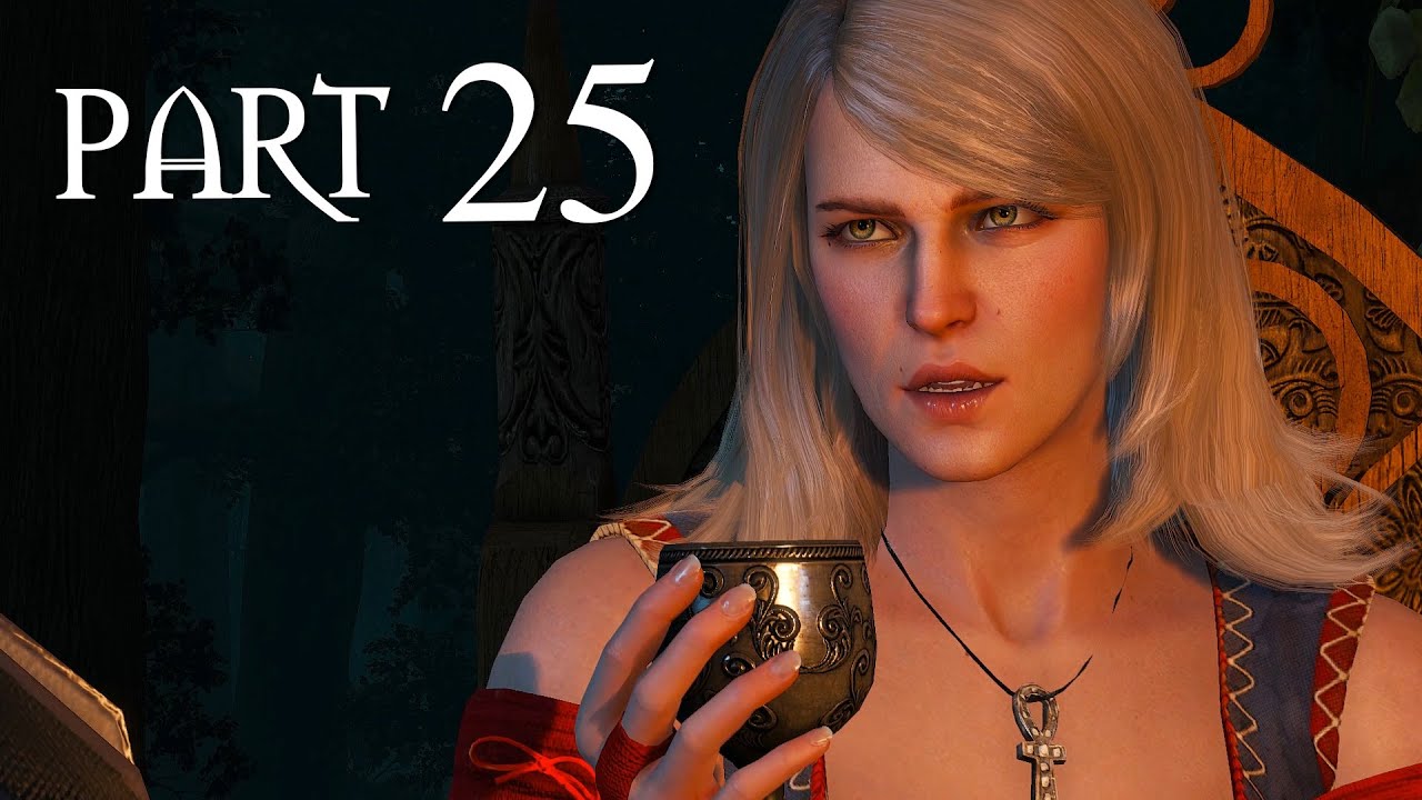 The Witcher 3 Walkthrough Part 25 - FAVOR FOR A FRIEND (The Witcher 3 PC Gameplay)