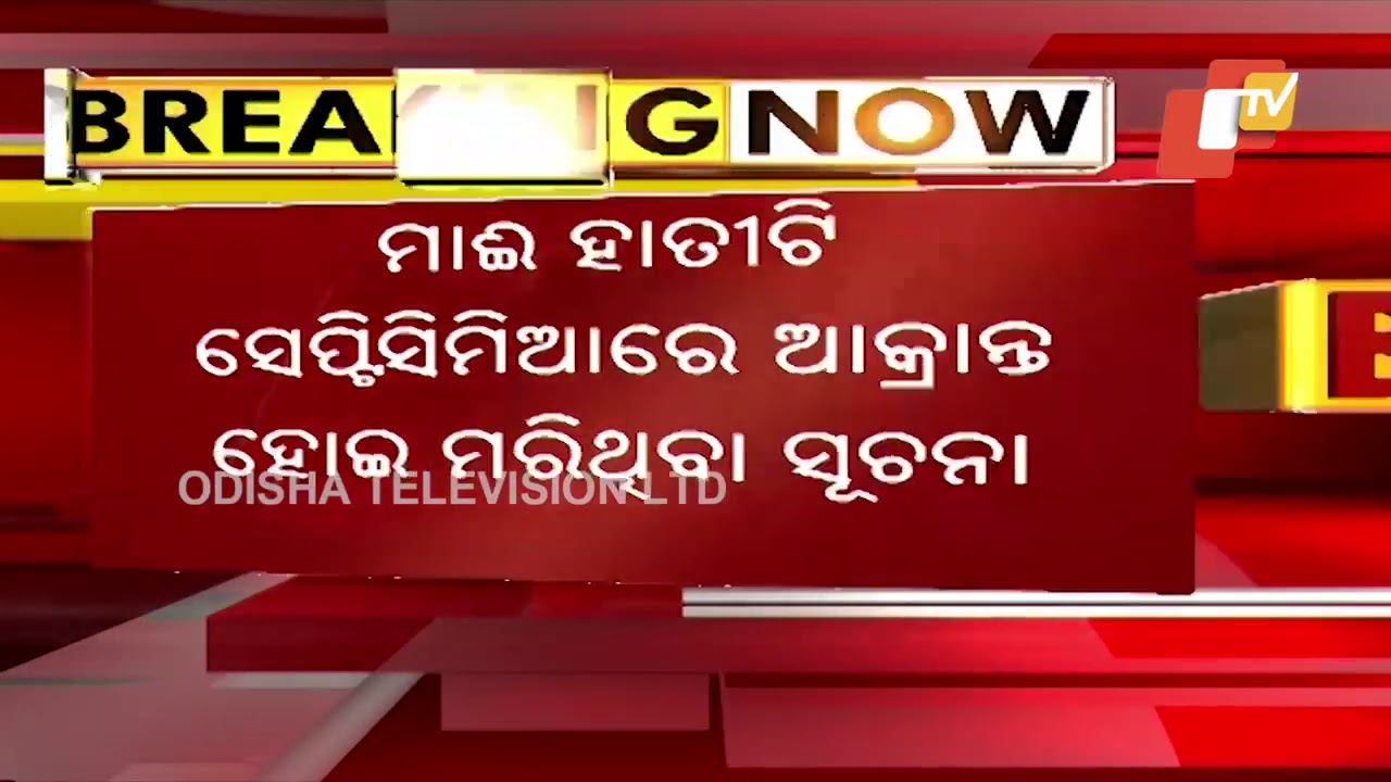 Another Elephant Dies In Karlapat Wildlife Sanctuary