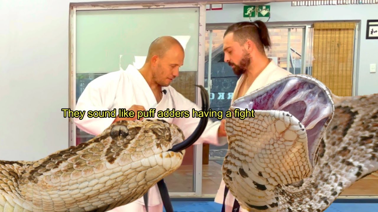 Упражнения по каратэ (Годзю-рю)