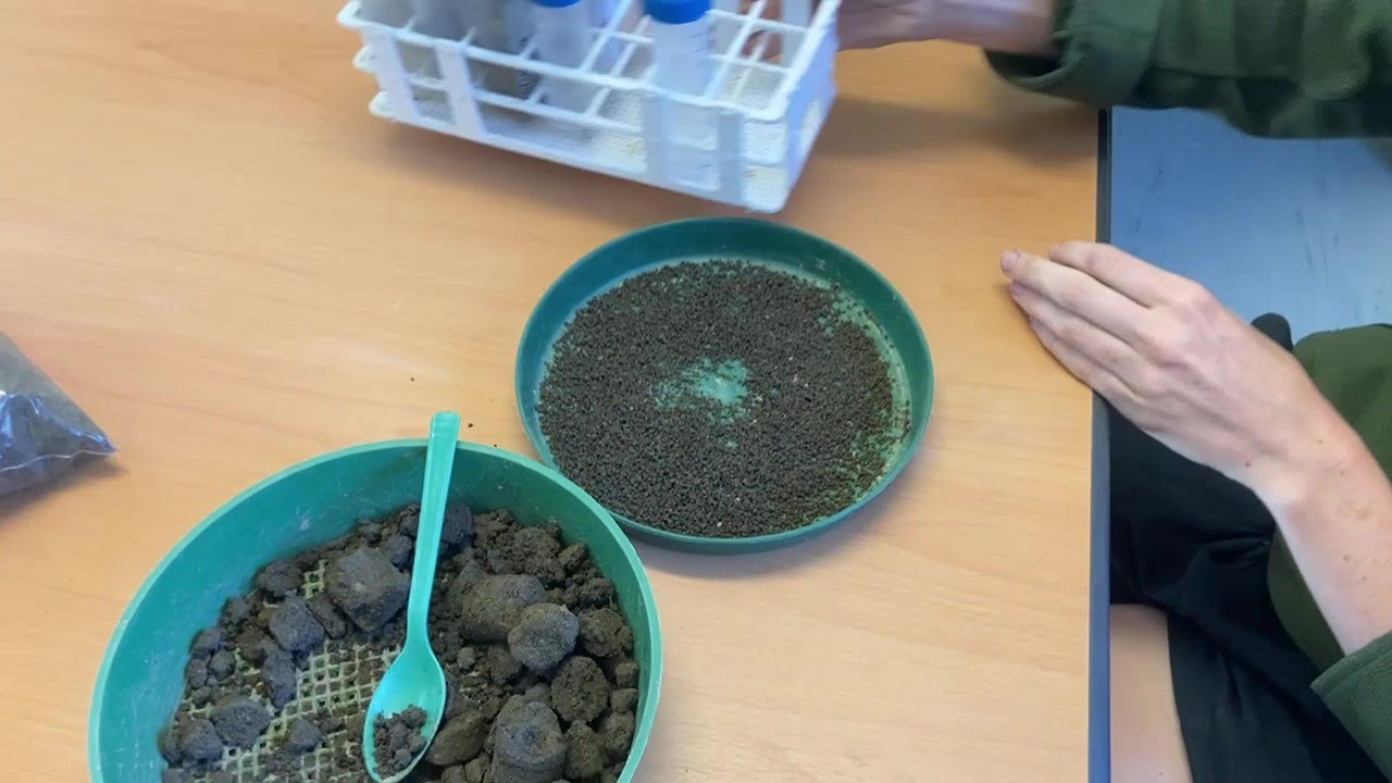 How to Nitrate Quick Test