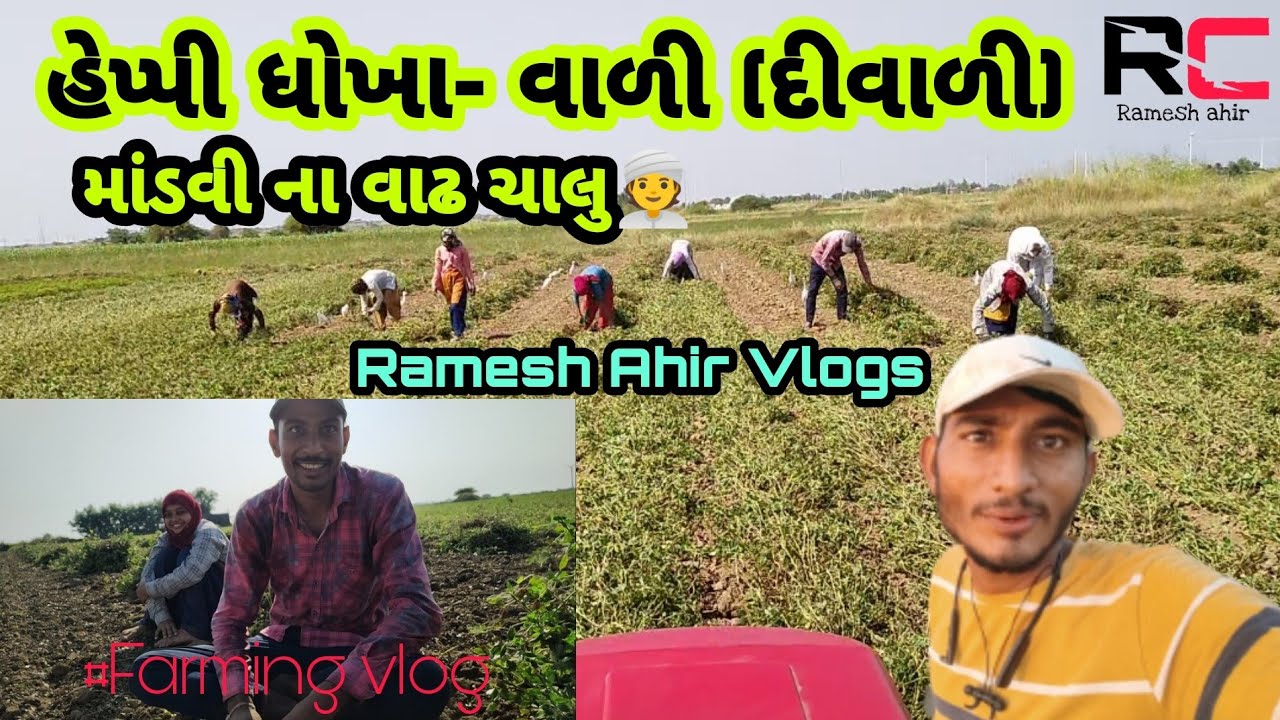 માંડવી ના વાઢ ચાલુ || # ધોખા || Ramesh Ahir Vlogs