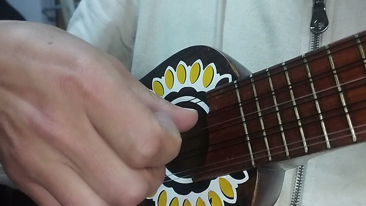 UKHAMAMPI MUNATAXA