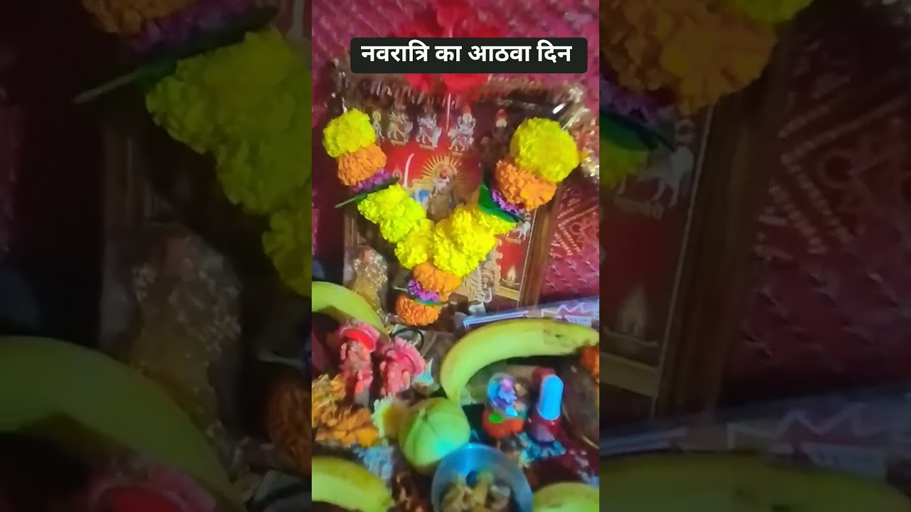 divya tera darbar🙏🌺#devotionalsongs #subscribe #reetapandey3