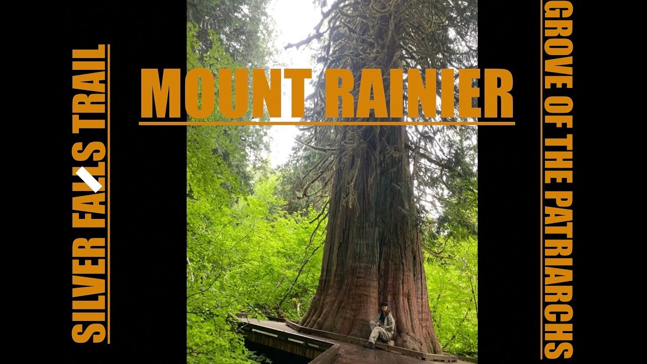 Mount Rainier