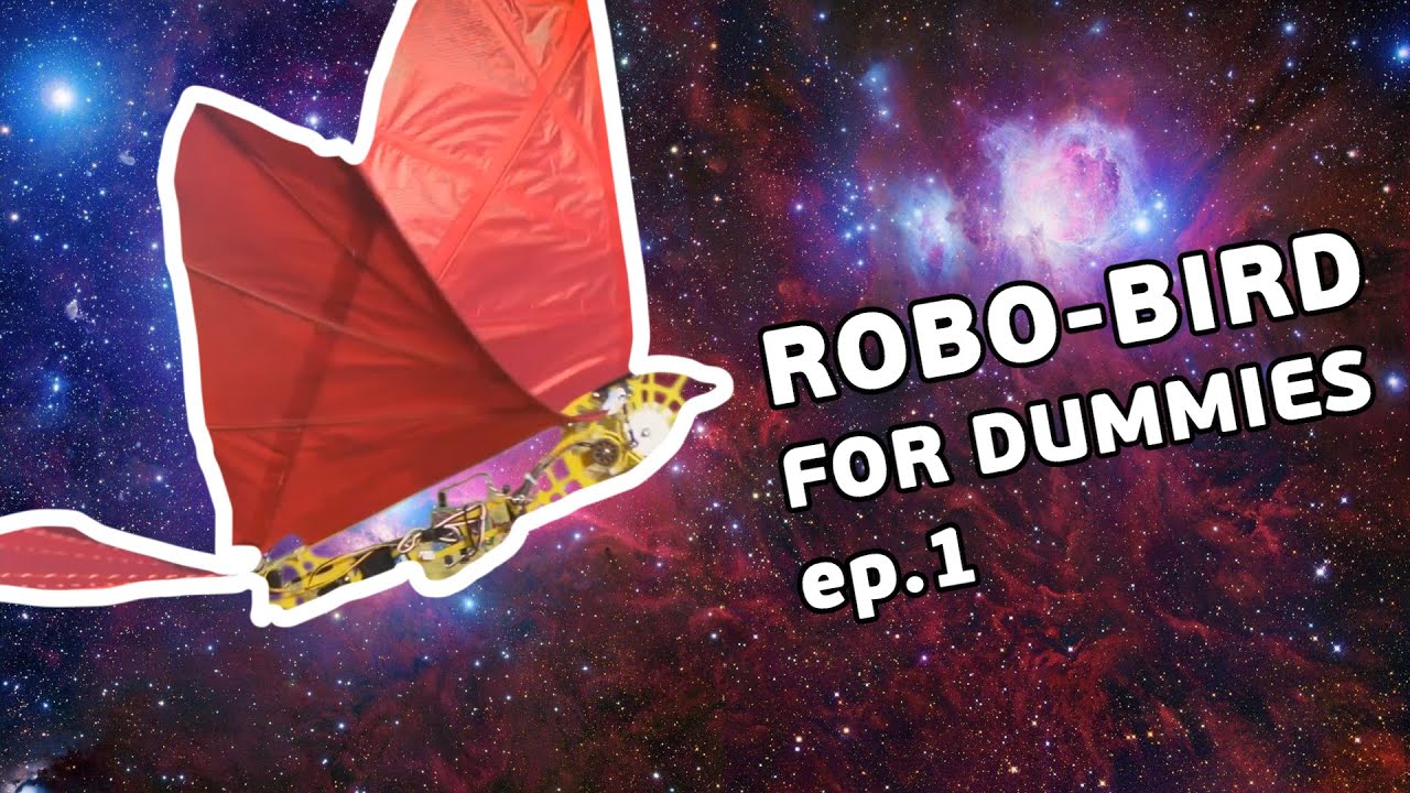 DIY Ornithopter: flapping mechanism and types review