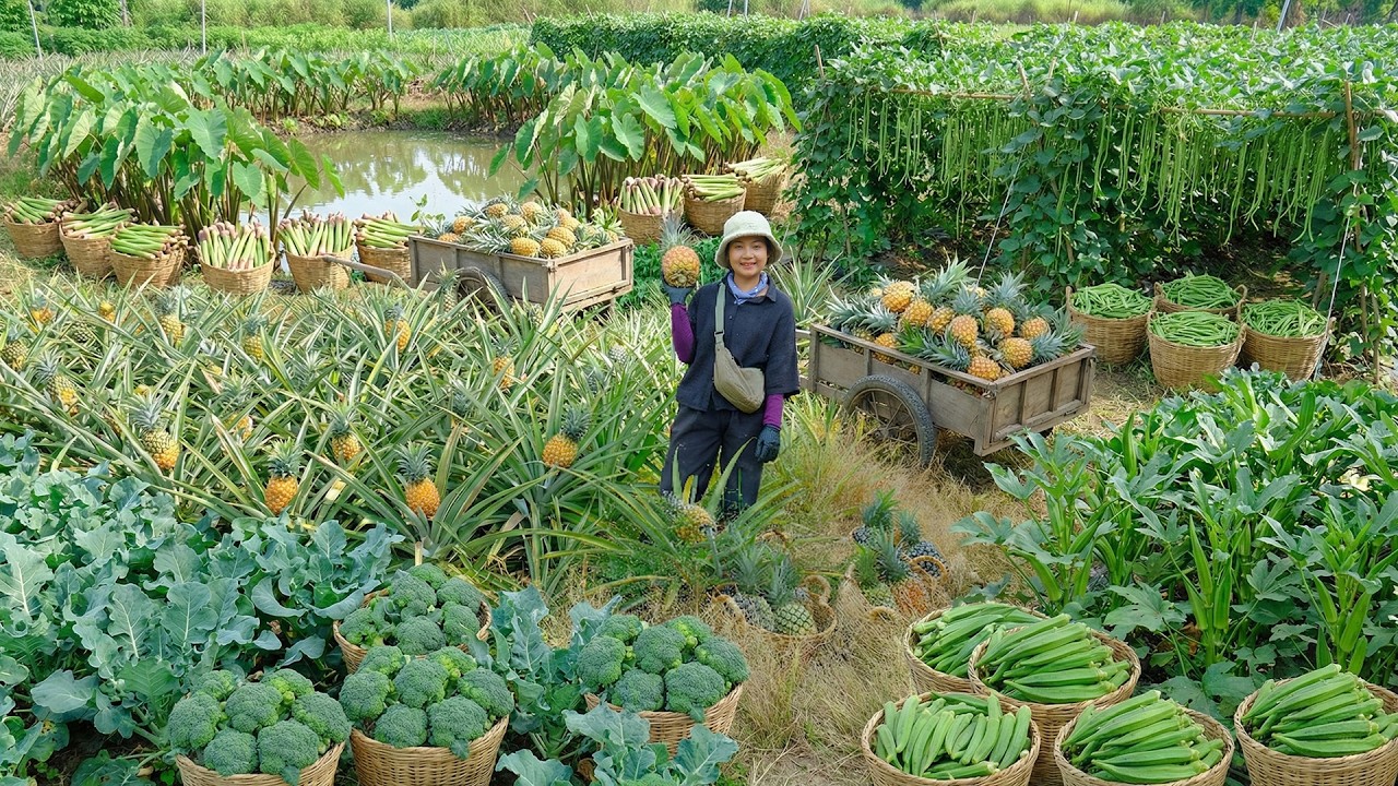 Relax With Harvest: Pineapple, Taro Stems, Cauliflower, Okra, Yardlong Beans, Green Eggplant