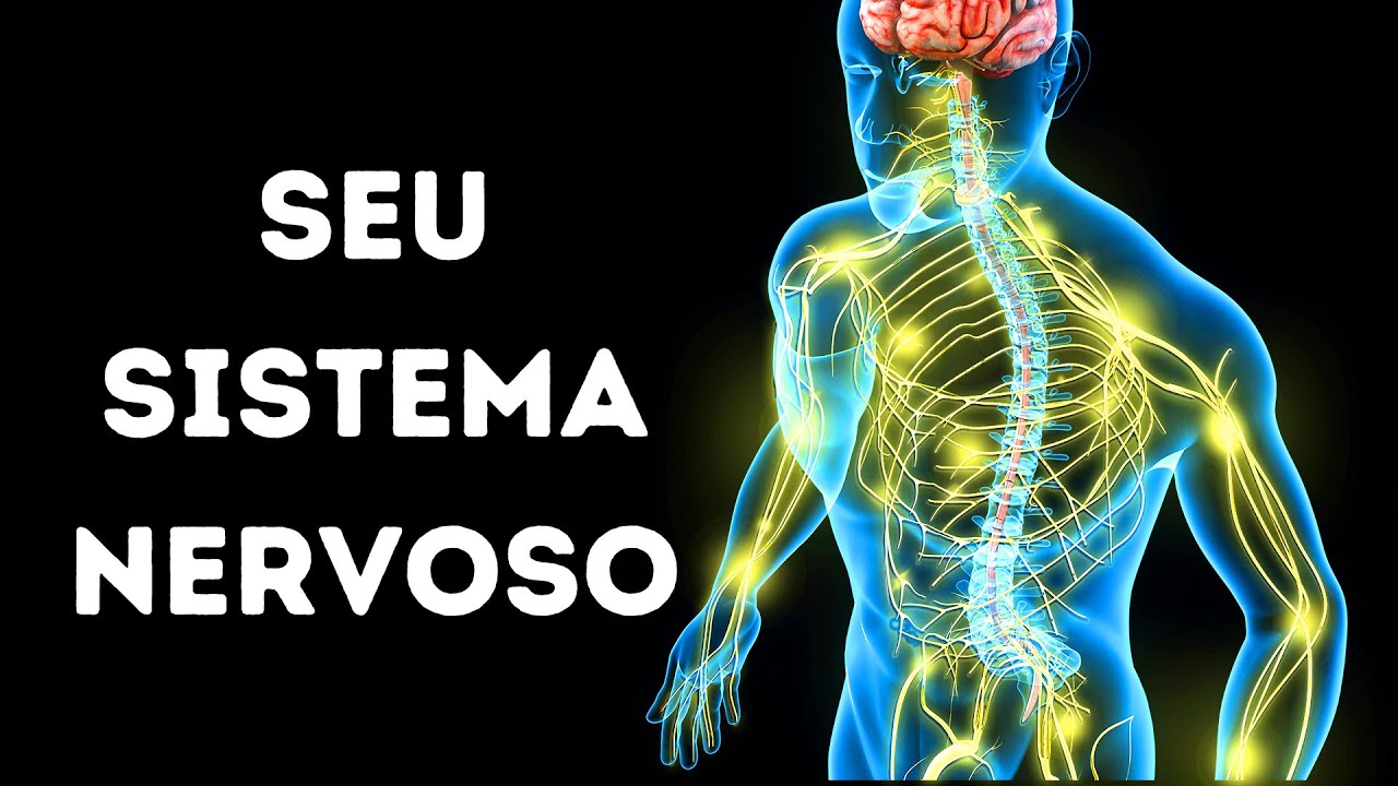 Uma viagem através do seu sistema nervoso
