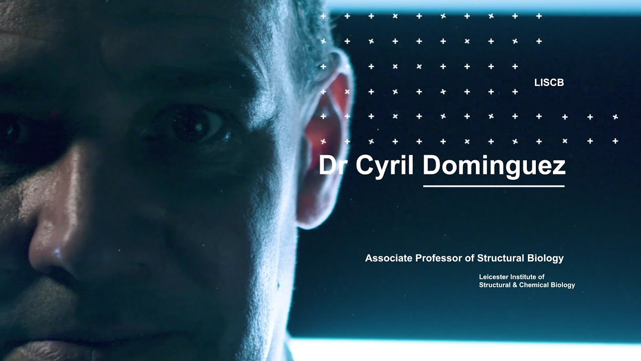 Leicester Institute of Structural & Chemical Biology - Dr Cyril Dominguez