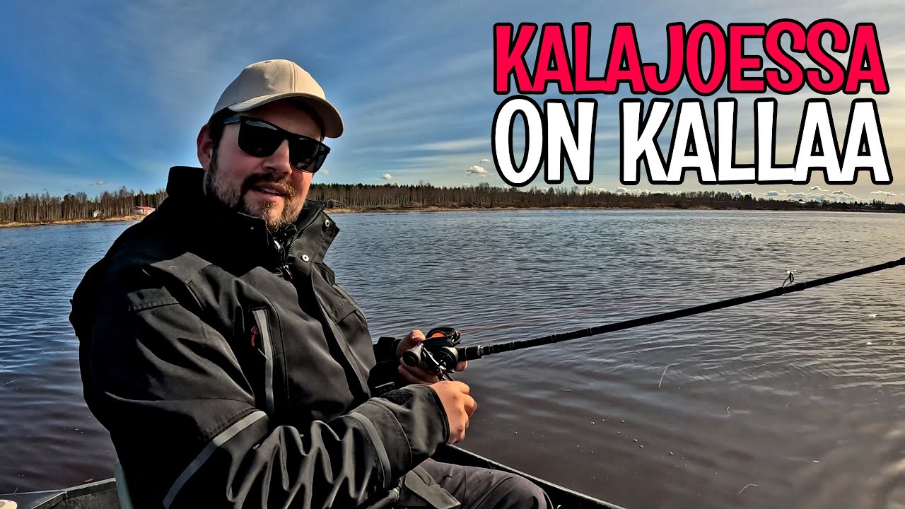 HAUKIKAUDEN ALOITUS KALAJOELLA - HETI LÖYTY HAUKIPAIKAT