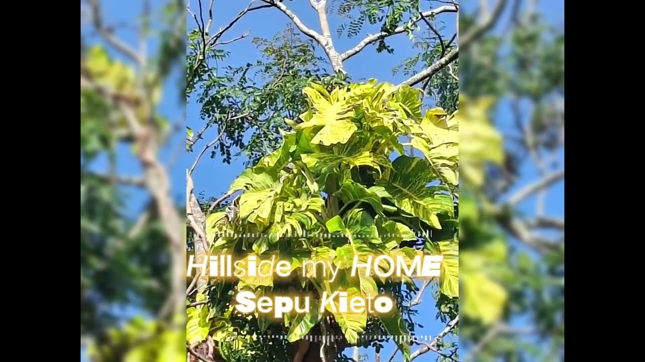 Hillside my HOME - Sepu Kieto