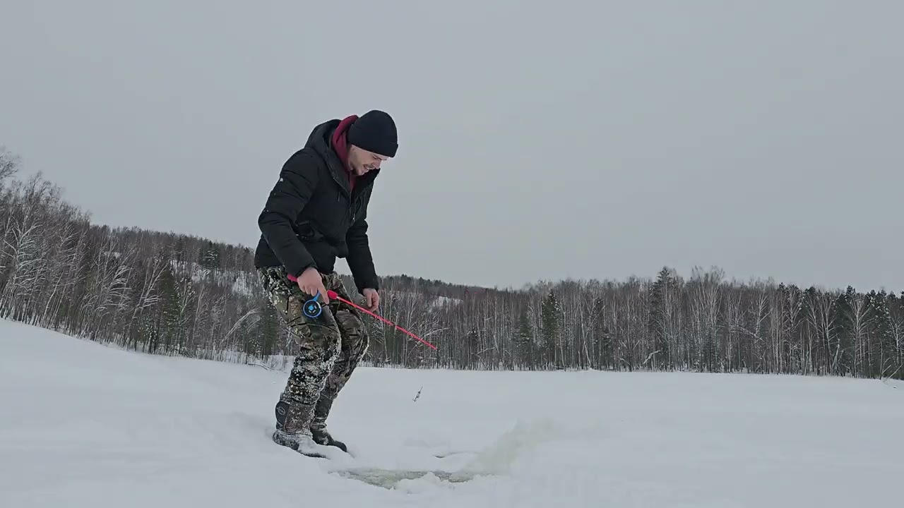 9 февраля 2026 г.