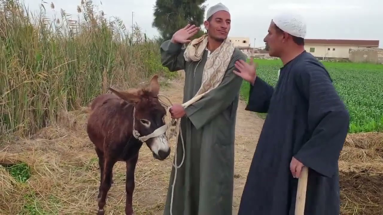 حج مبروك ضحك على الحاج جابر