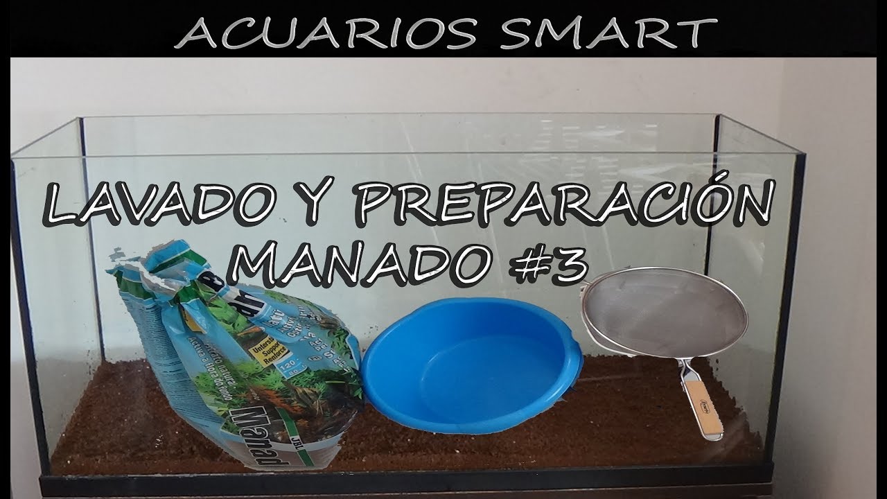 CAMBIOS: LAVADO Y PREPARACIÓN MANADO #3