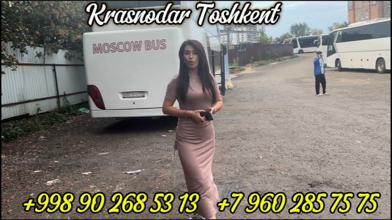 +998902685313/ Toshkent Krasnodar avtobus,Toshkent Moskva avtobus,Krasnodar Toshkent avtobus