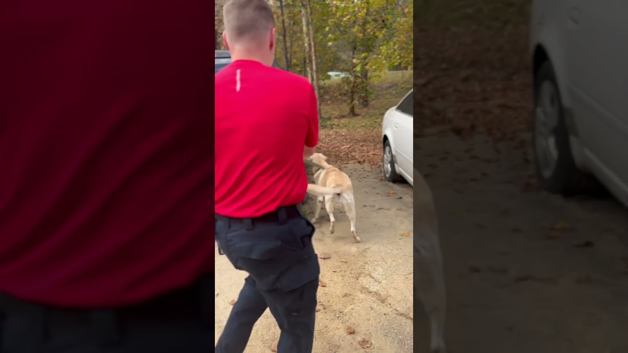 K9 Blondie and her handler 