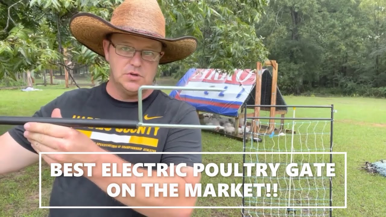 BEST ELECTRIC POULTRY GATE ON THE MARKET!! 