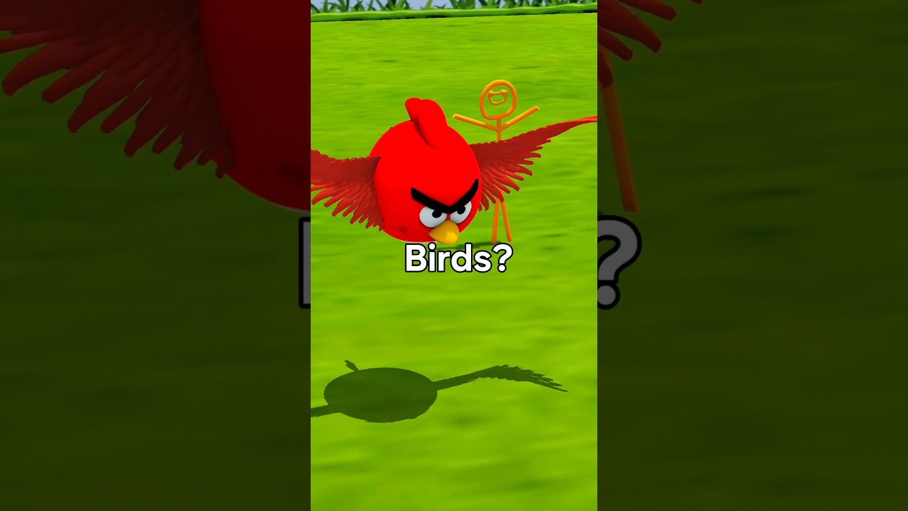 Why Don&rsquo;t The Birds Have Wings In Angry Birds?