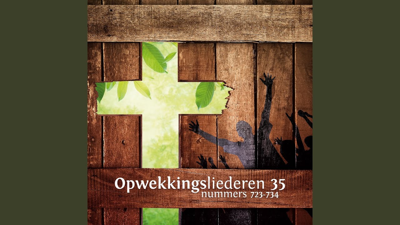 Tienduizend redenen (733)
