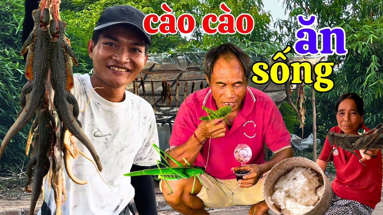 Cận Cảnh Ăn Đặc Sản Cào Cào Châu Chấu Sống Ở Biên Giới Lào Campuchia