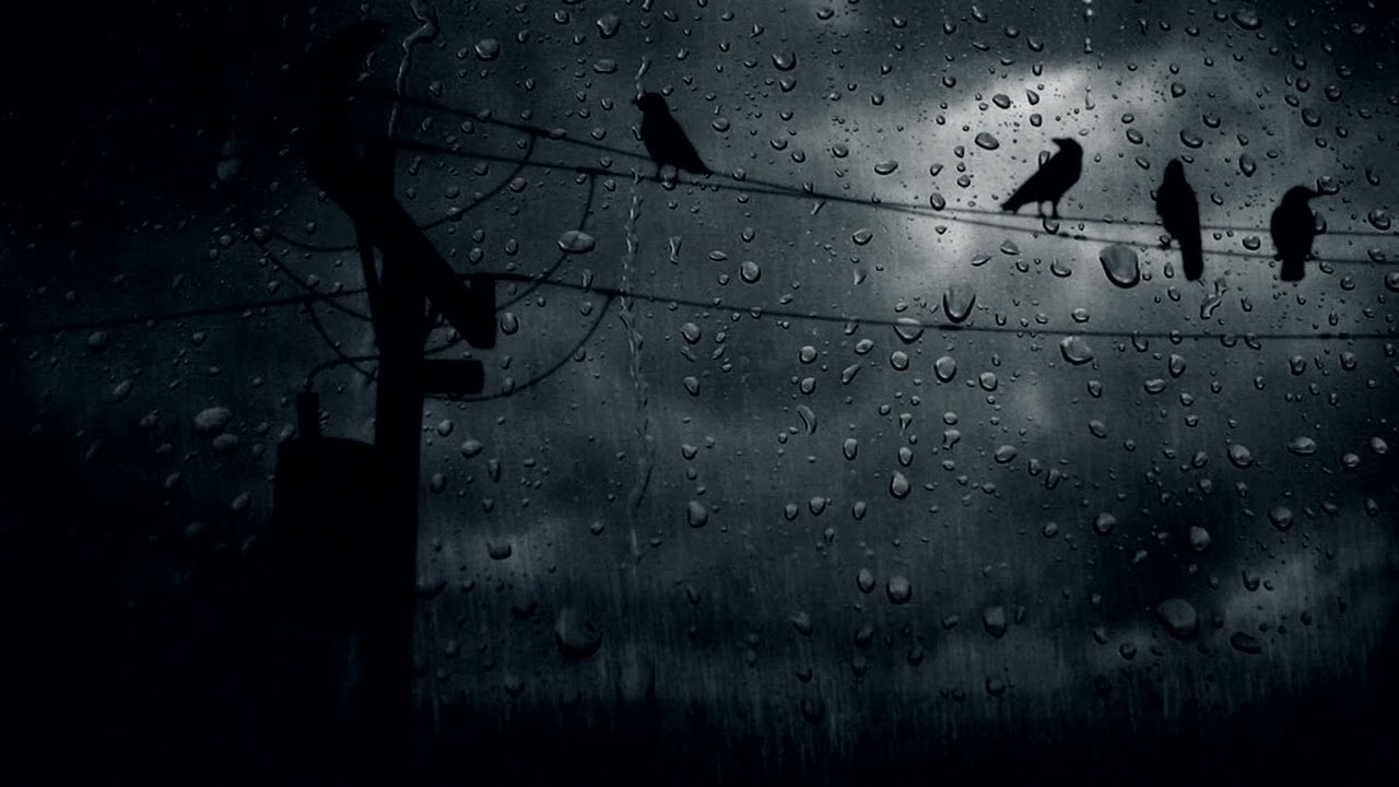 Gísli Gunnarsson - Birds Of Paradise ( Slowed/Reverb )