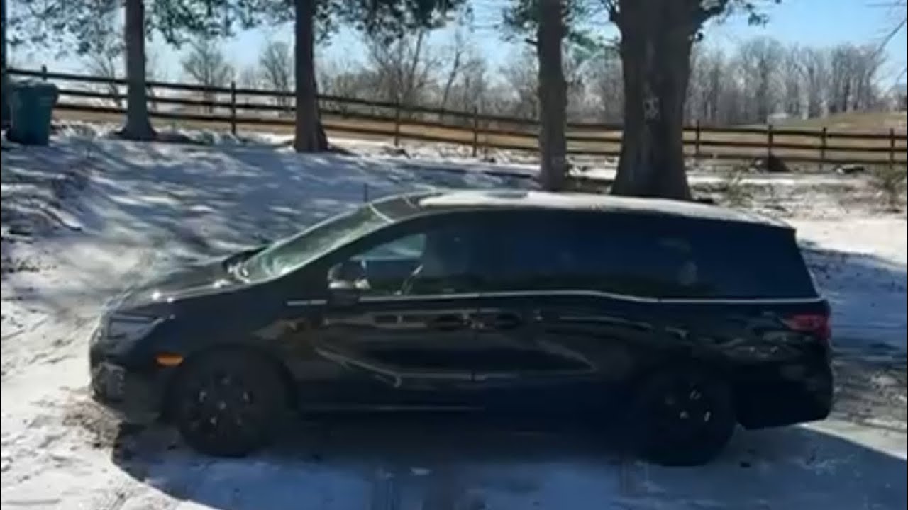 Деревенская жизнь в Америке Ефремовы в прямом эфире!